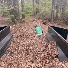 Leaf-Cleanup-and-Removal-in-Oxford-MS 8